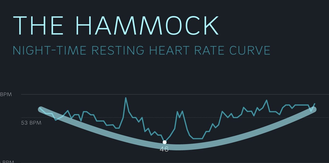 Heart rate curve during sleep
