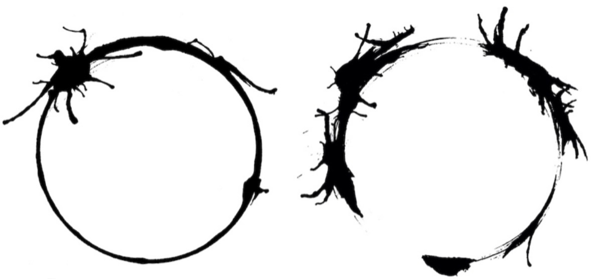 Two circular ink logograms in the manner of the heptapod script, each a ring broken by splashed radial marks.